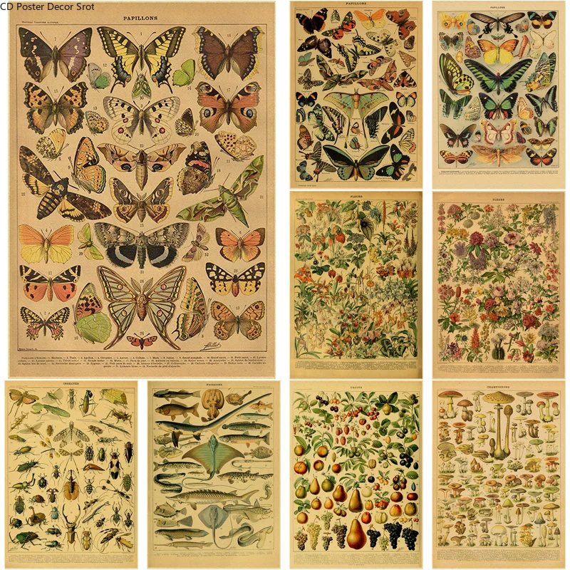Butterfly Insect Flower Mushro - đánh giá và giá Art Craft Items